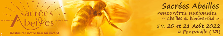 abeilles-728