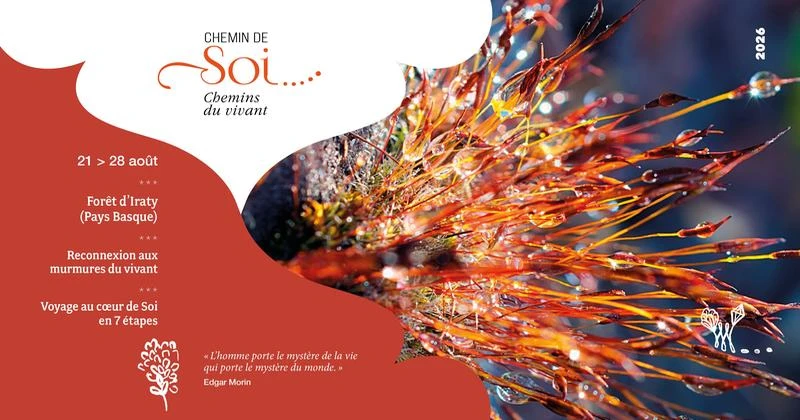 chemin.de soi-800