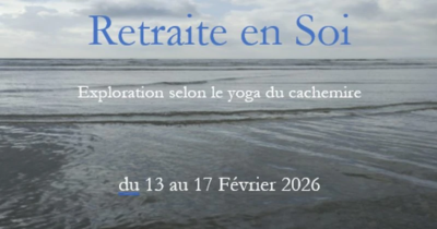 Christine Finance-800