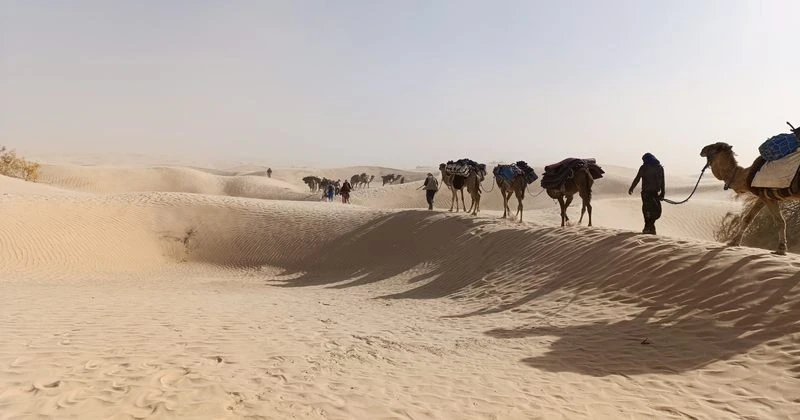 désert tunisien-800