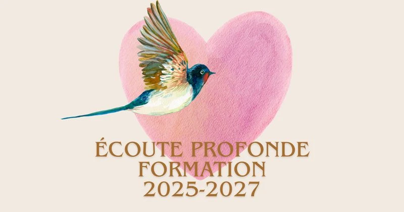 formation 2025-2027-800