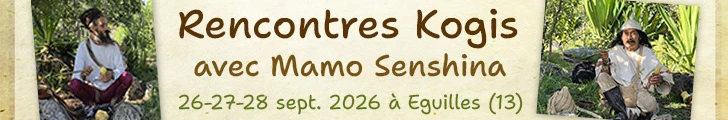 kogis-2026-728 kogis-2026-728