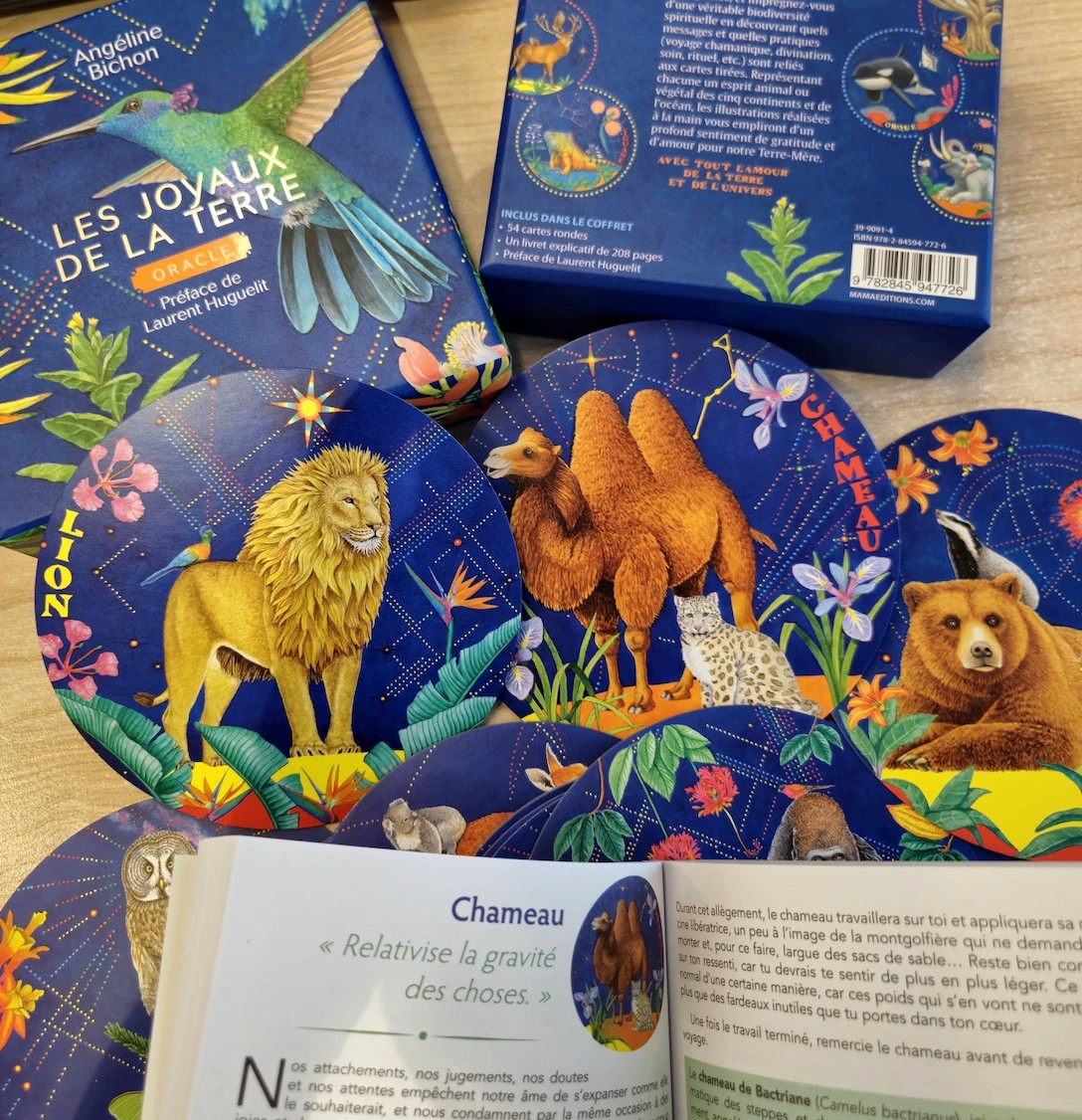 L'Oracle des Joyaux de la Terre2 L'Oracle des Joyaux de la Terre2