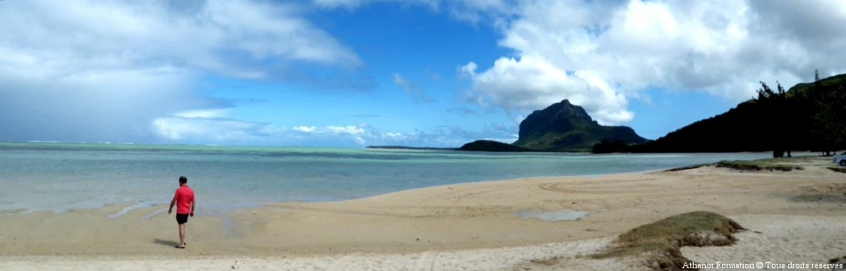paysage de Maurice