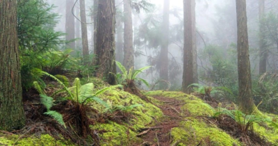 terre-energies-voyage-800