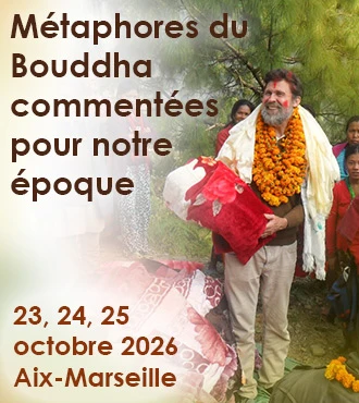 vigne-2026-330 vigne-2026-330